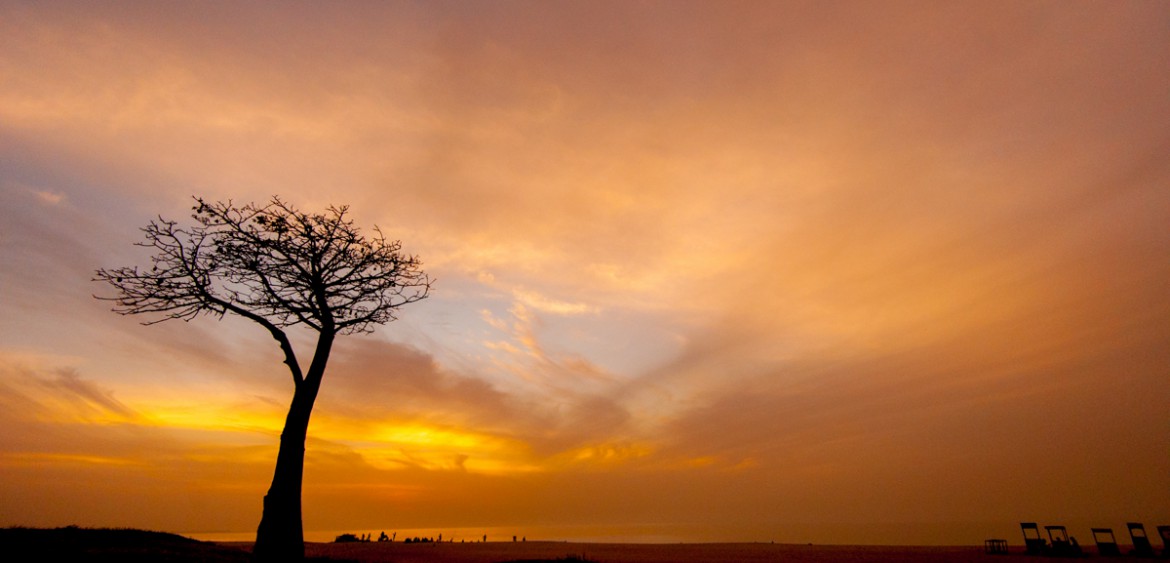 The Gambia