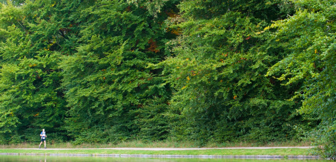 Trailrunning Nederland Zout Fotografie