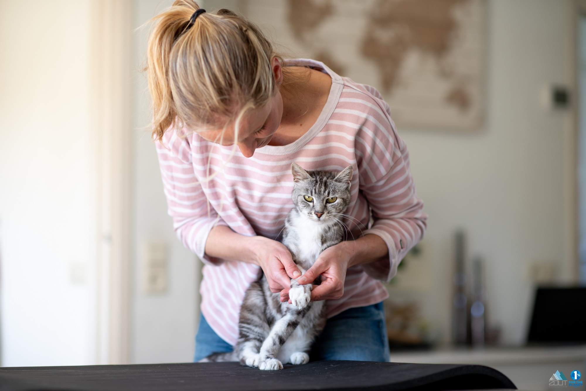 Fotografie dierenfysiotherapie naomi meijaard katten