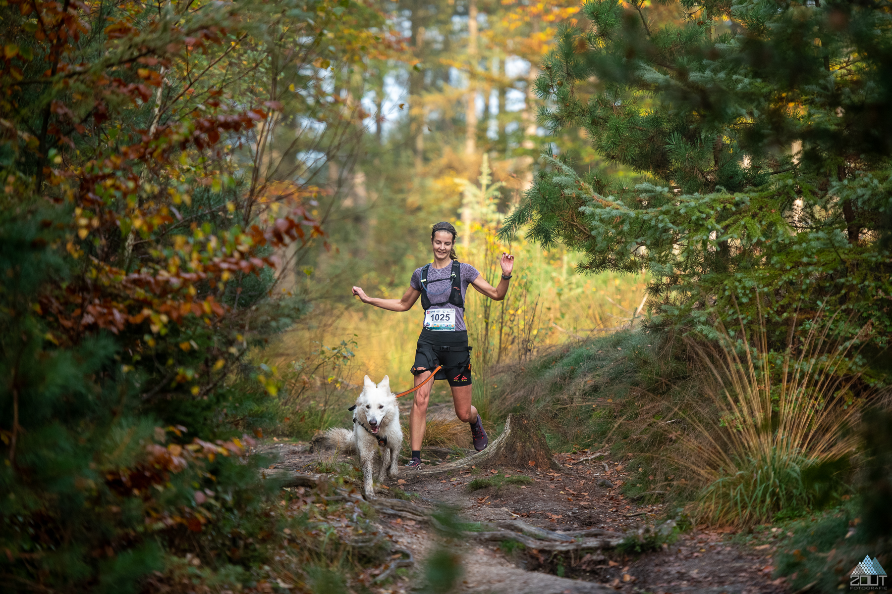 Foto Posbanktrail 2022 veluwe Trailrunning