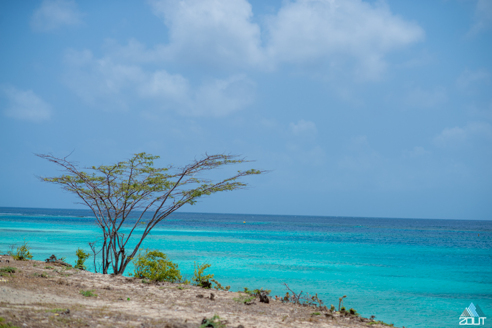 Aruba