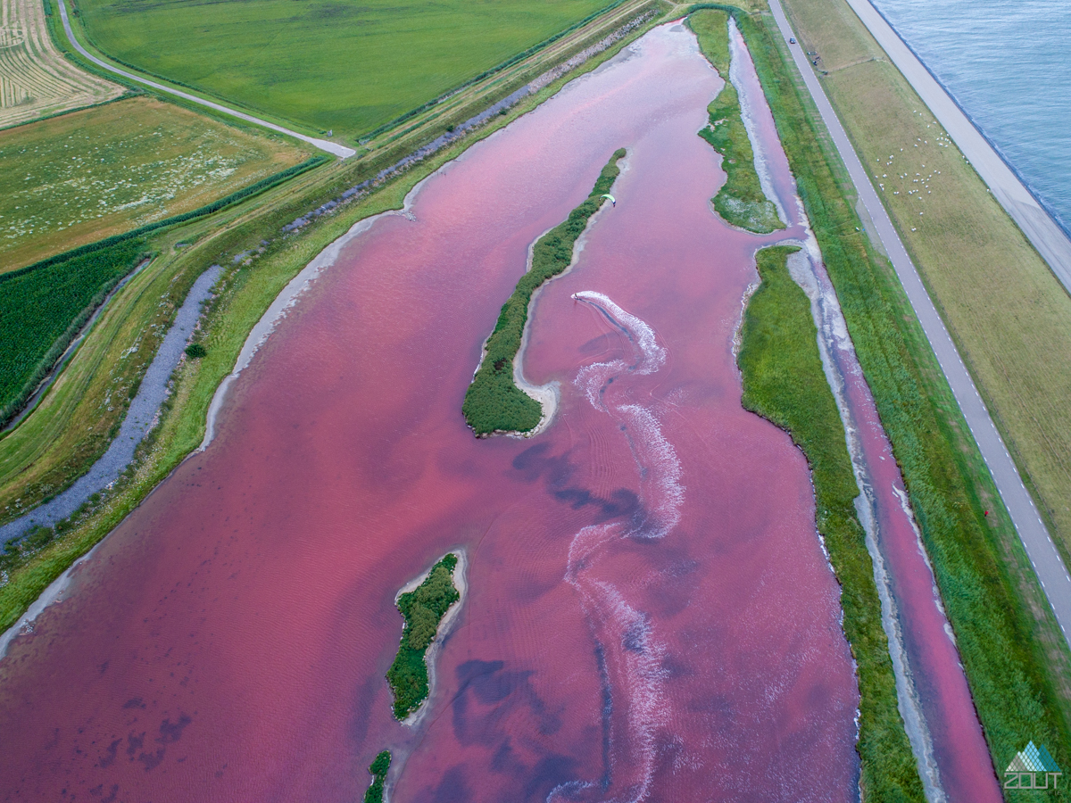 Kitesurfen roze meertje Wagejot Texel