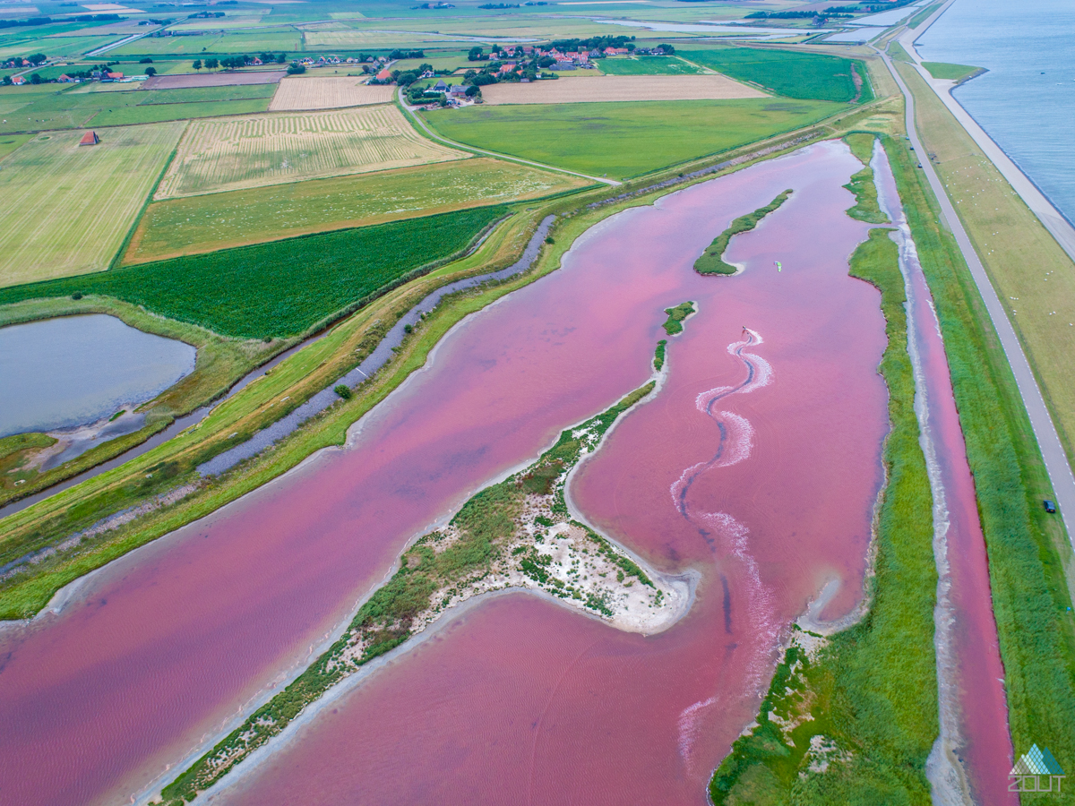 Kitesurfen roze meertje Wagejot Texel