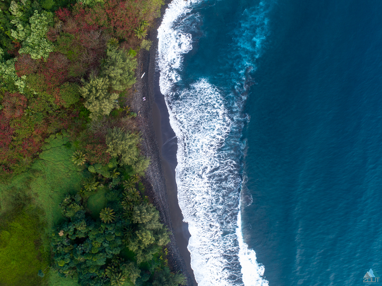 Muliwai Trail, Kohala Forest Reserve Waimanu Bay