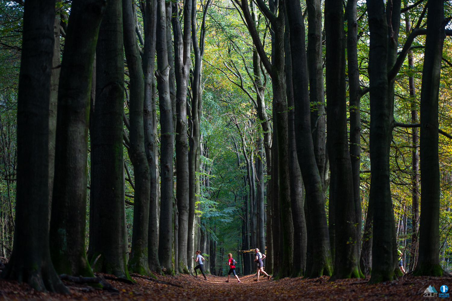 Fotos Posbanktrail Trailrunning 