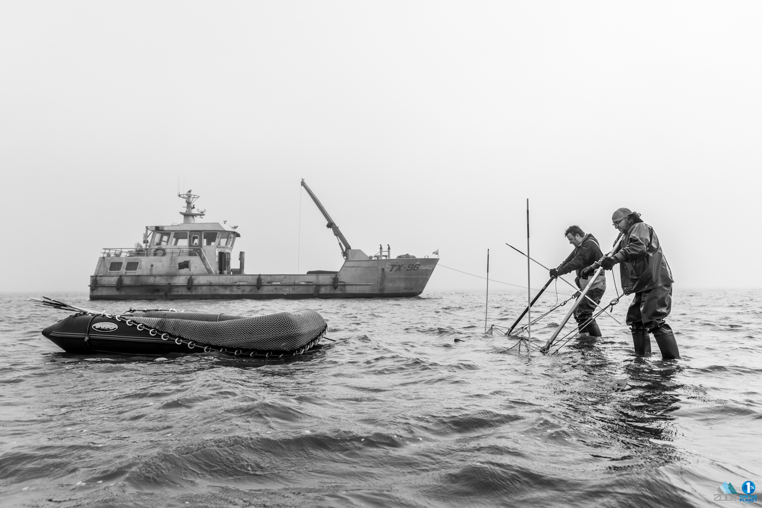 Lenger Seafoods Visserij fotografie zeevissen kokkelvisserij