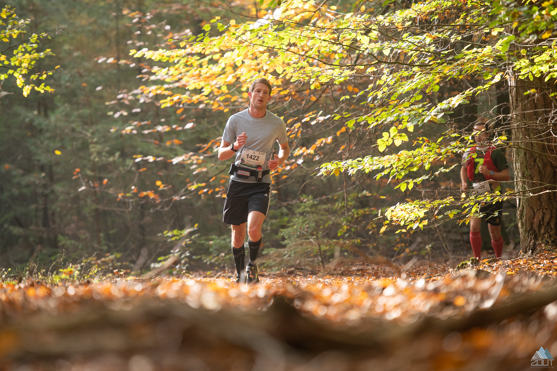 Foto Posbanktrail 2022 veluwe Trailrunning