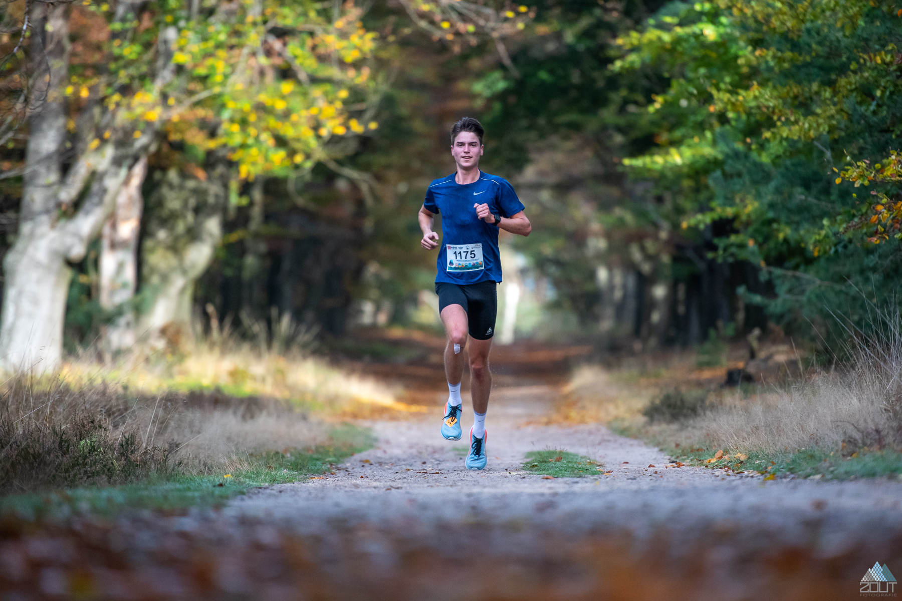 Foto Posbanktrail 2022 veluwe Trailrunning